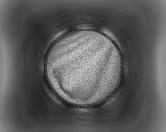 X0000086240533200704191823
