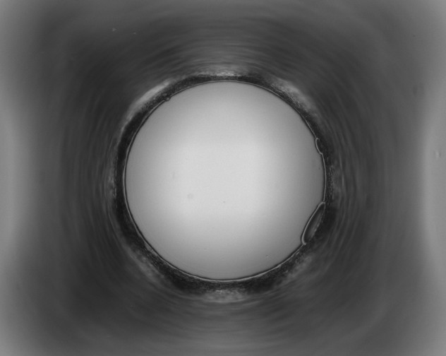 X0000086240536200704191823
