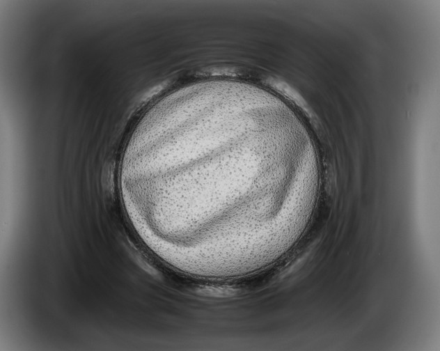 X0000086240537200704191823