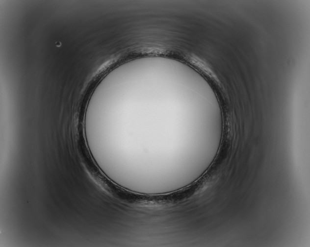 X0000086240538200704191823