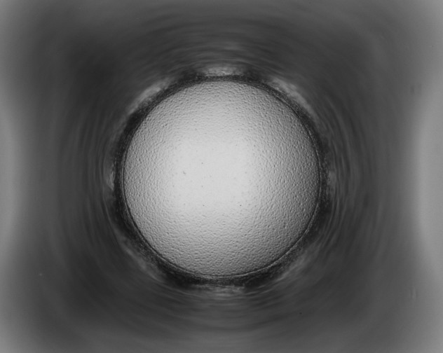 X0000086240539200704191823