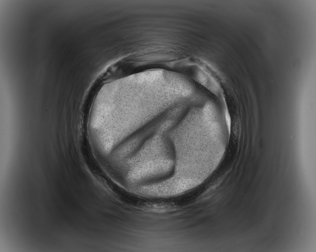 X0000086240540200704191823