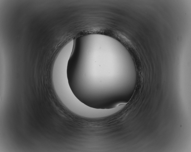 X0000086240546200704191823