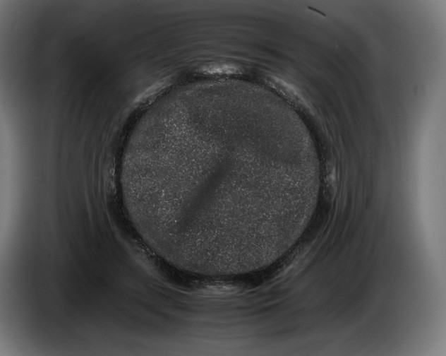 X0000086240547200704191823