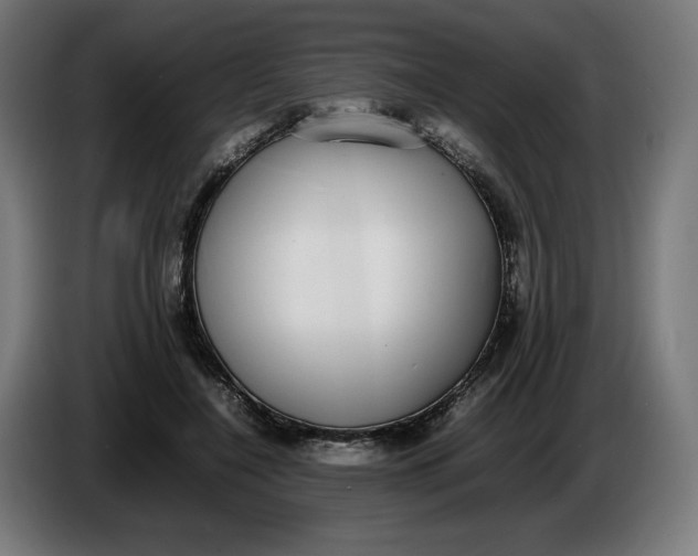 X0000086240548200704191823