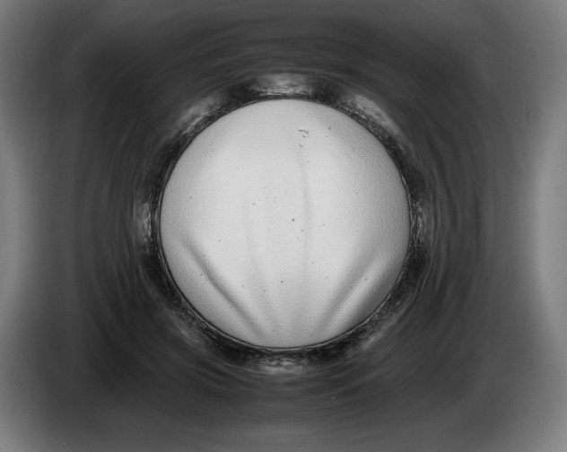 X0000086240549200704191823