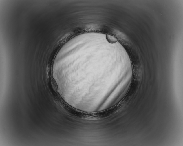 X0000086240550200704191823