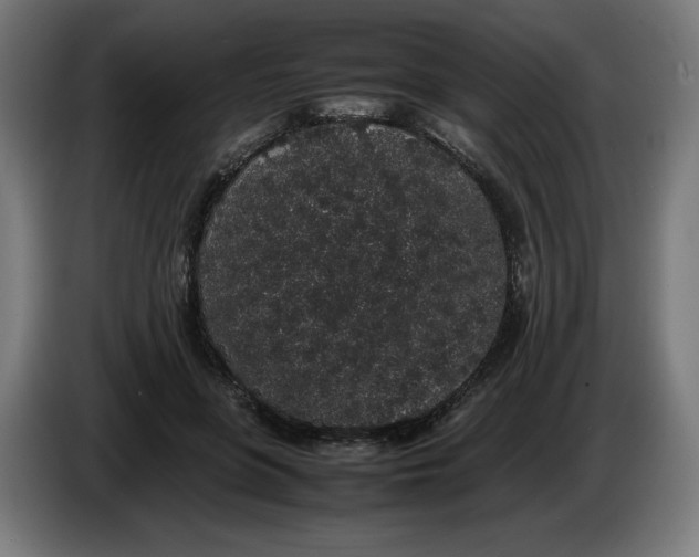 X0000086240551200704191823
