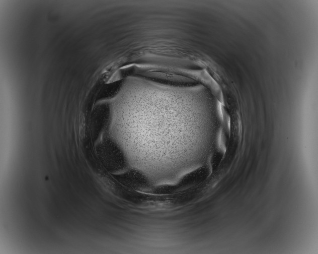X0000086240552200704191823