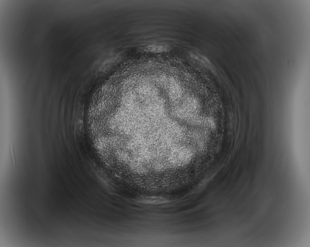 X0000086240553200704191823