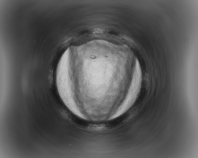 X0000086240554200704191823