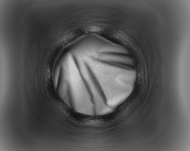 X0000086240555200704191823