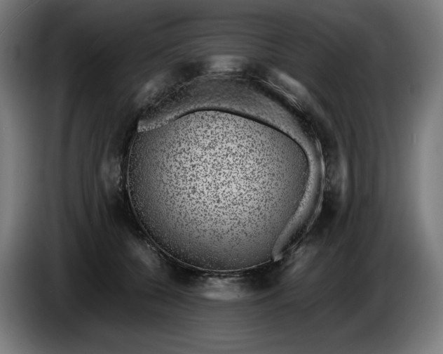 X0000086240560200704191823