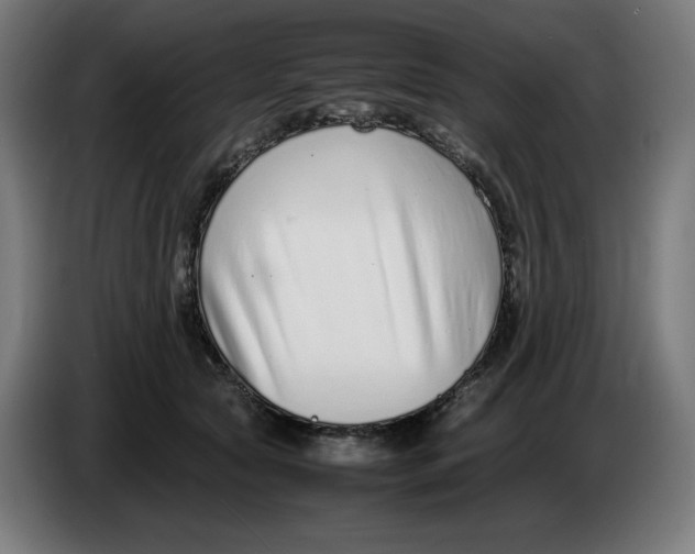 X0000086240561200704191823