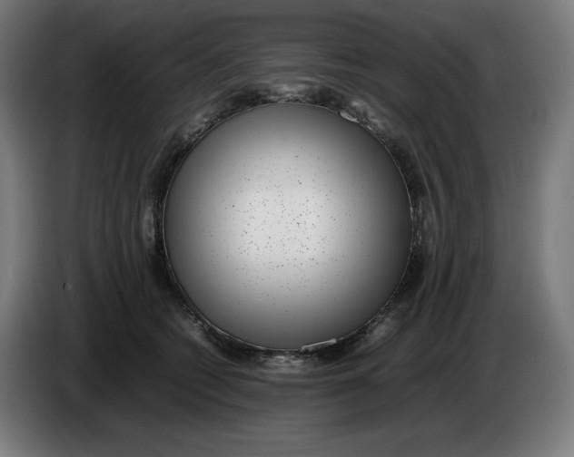 X0000086240562200704191823