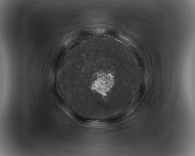 X0000086240568200704191823