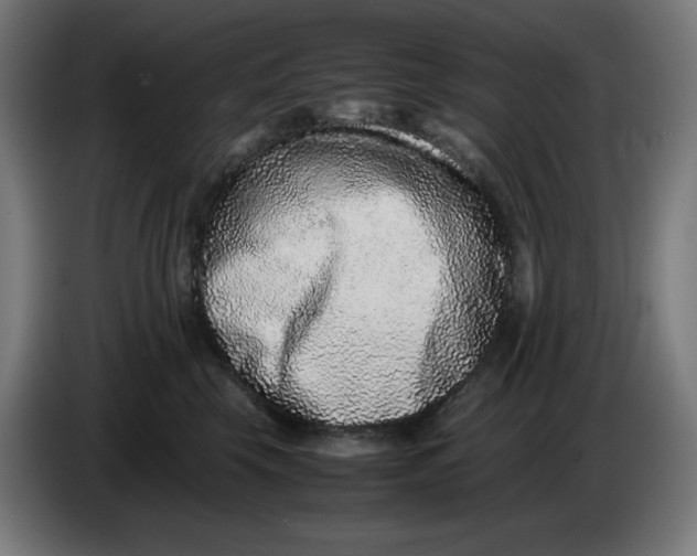 X0000086240569200704191823
