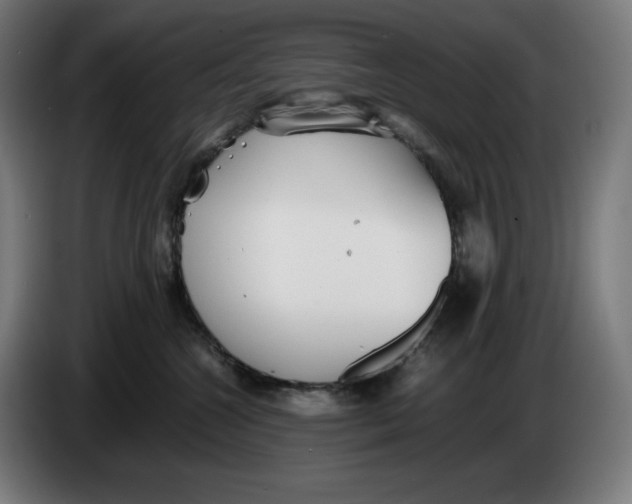 X0000086240572200704191823