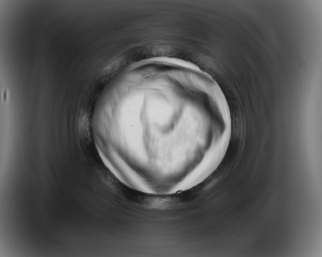 X0000086240575200704191823