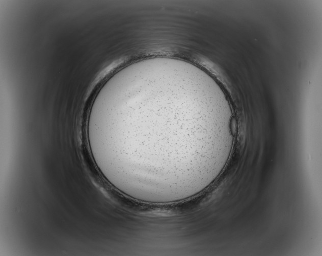 X0000086240578200704191823