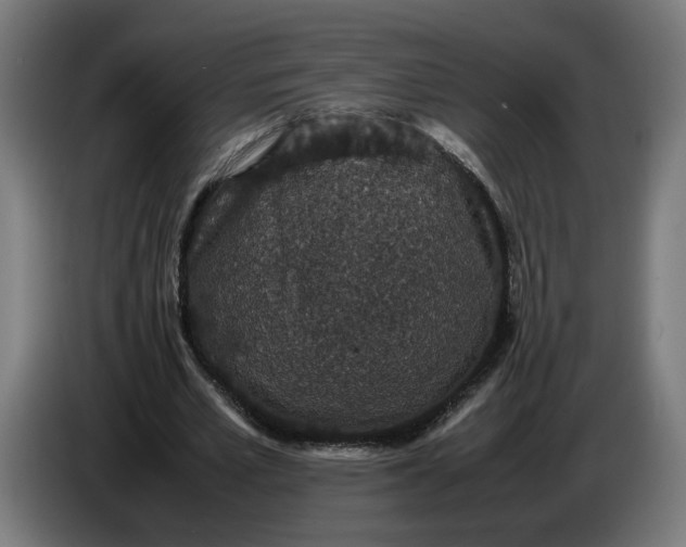 X0000086240581200704191823