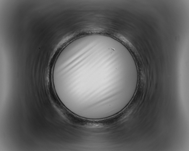 X0000086240582200704191823