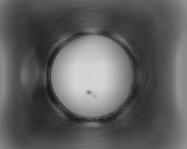 X0000086240586200704191823