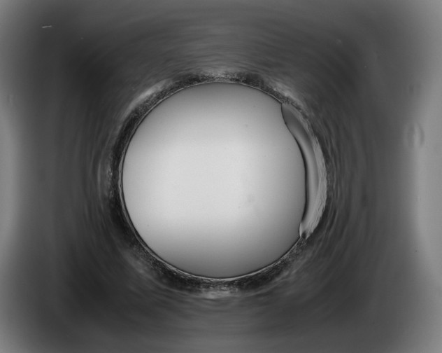 X0000086240587200704191823
