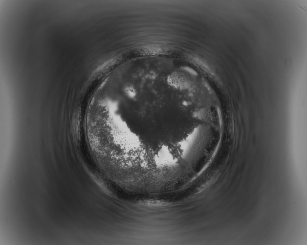 X0000086240590200704191823