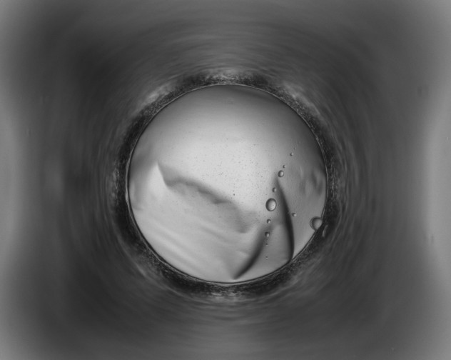 X0000086240591200704191823