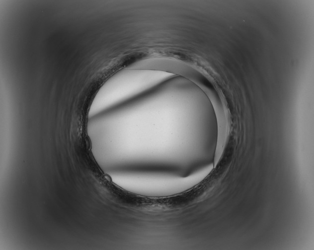 X0000086240593200704191823