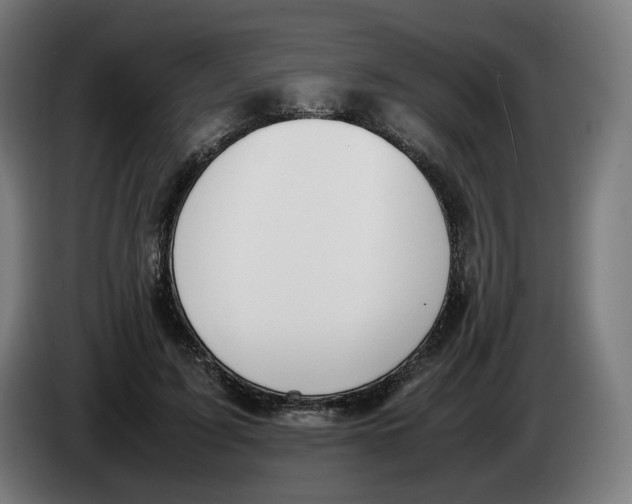 X0000086240595200704191823