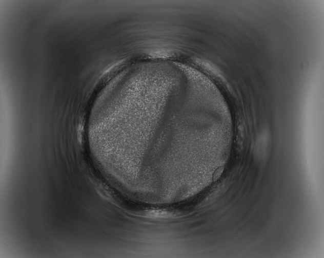 X0000086240596200704191822