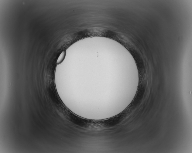 X0000086240599200704191822