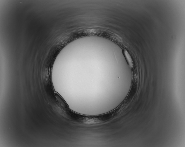 X0000086240605200704191822