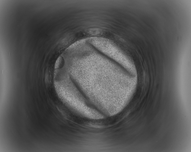 X0000086240606200704191822