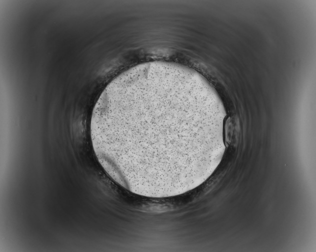 X0000086240608200704191822