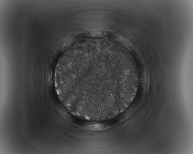 X0000086240610200704191822