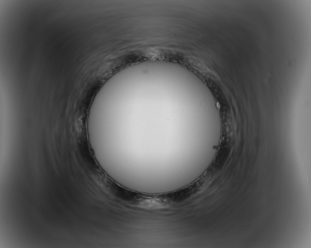 X0000086240611200704191822