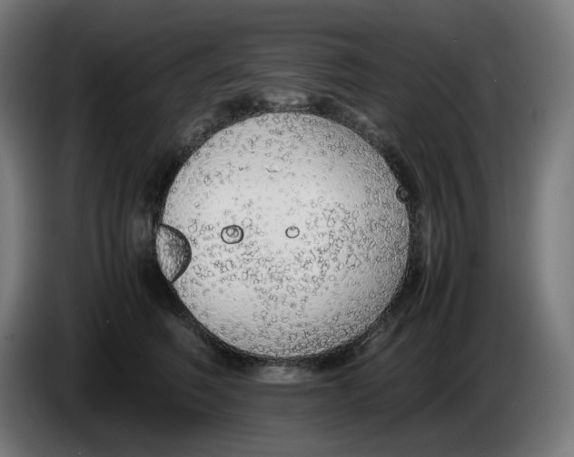 X0000086240614200704191822
