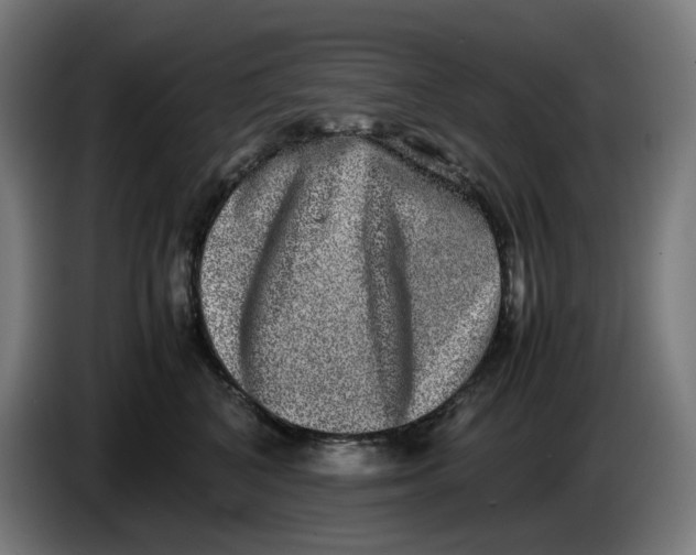 X0000086240616200704191822