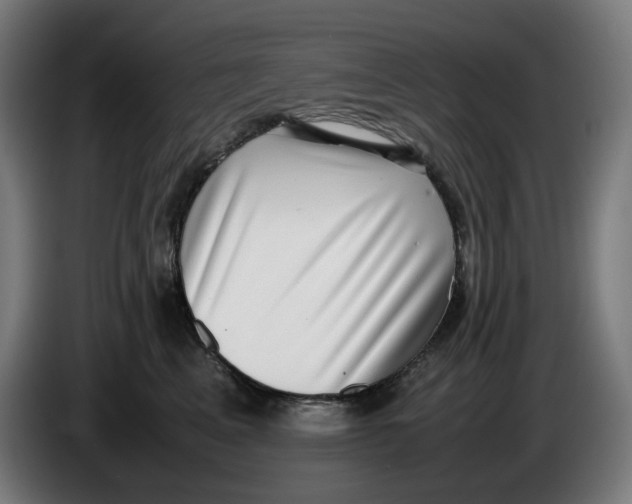 X0000086240617200704191822