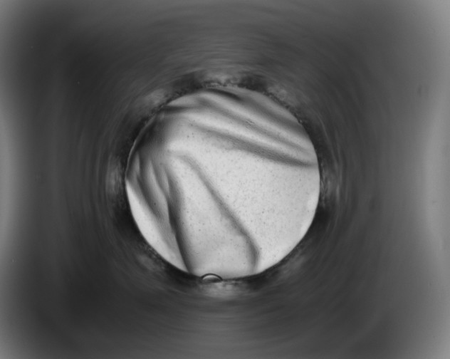 X0000086240623200704191822