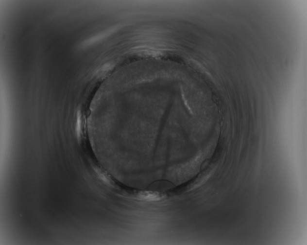 X0000086240624200704191822