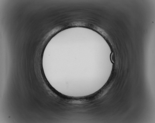 X0000086240625200704191821