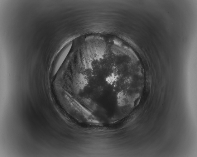 X0000086240626200704191821