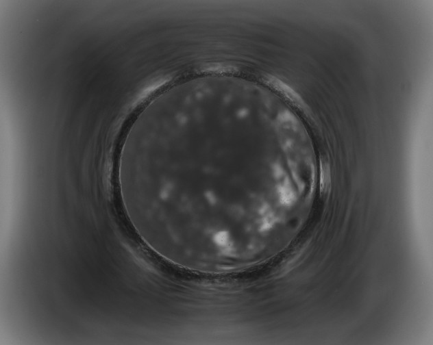 X0000086240627200704191821
