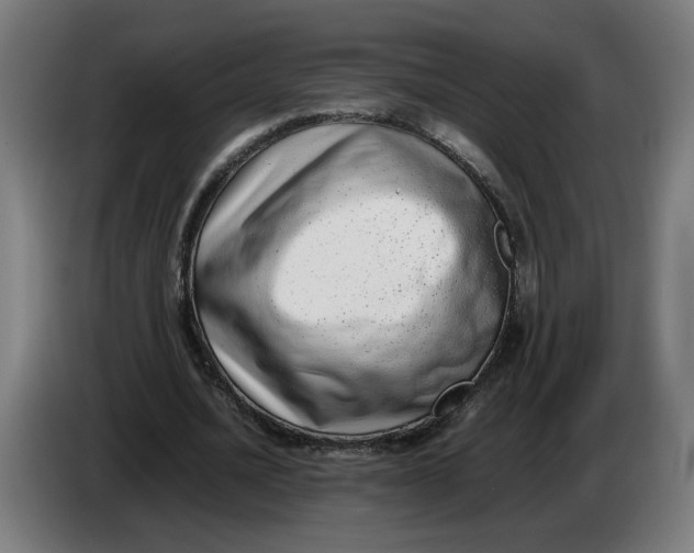 X0000086240628200704191821