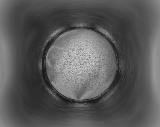 X0000086240629200704191822