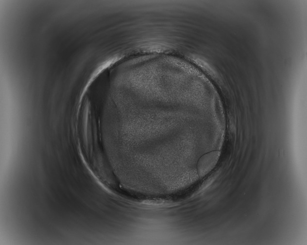 X0000086240630200704191822